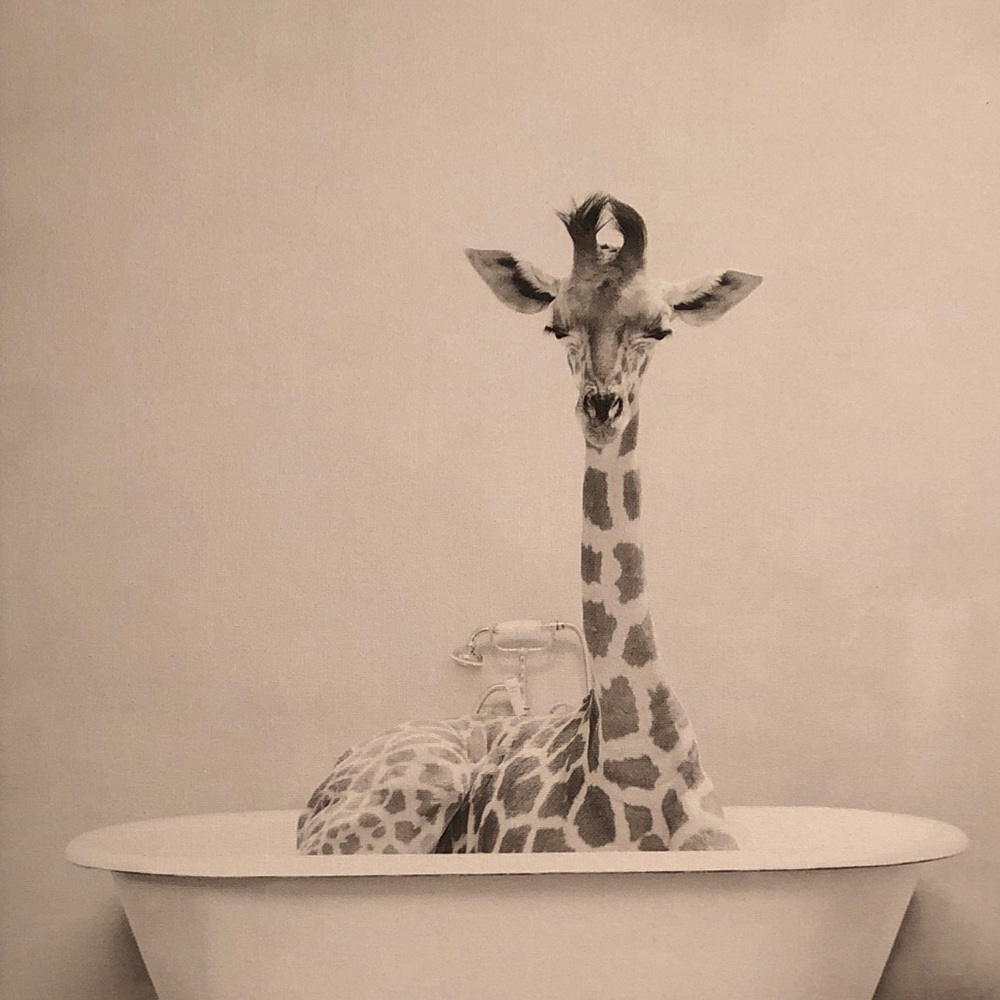 Meet your Posher, Ezra